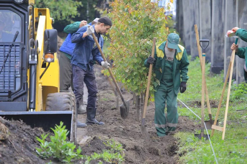 Telegram-канал мэра Новосибирска