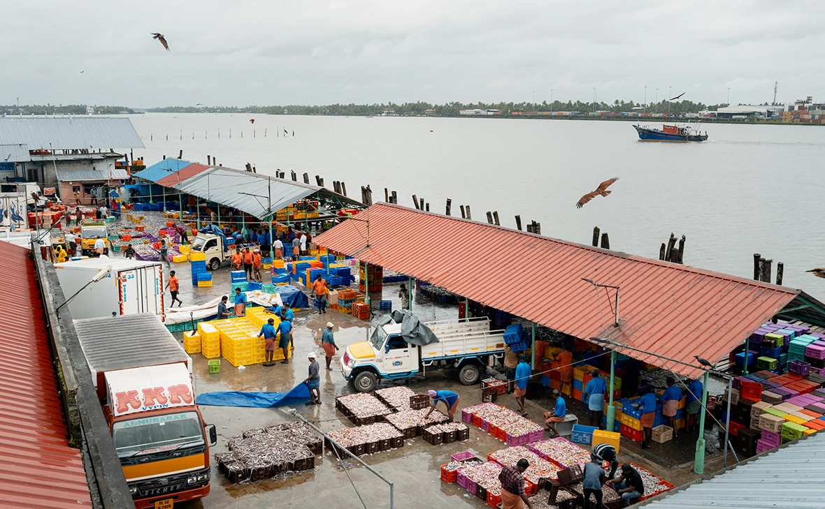 Elke Scholiers / Getty Images