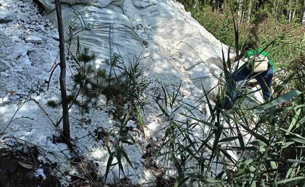 Фото: Управление Росприроднадзора по Нижегородской области и Республике Мордовия