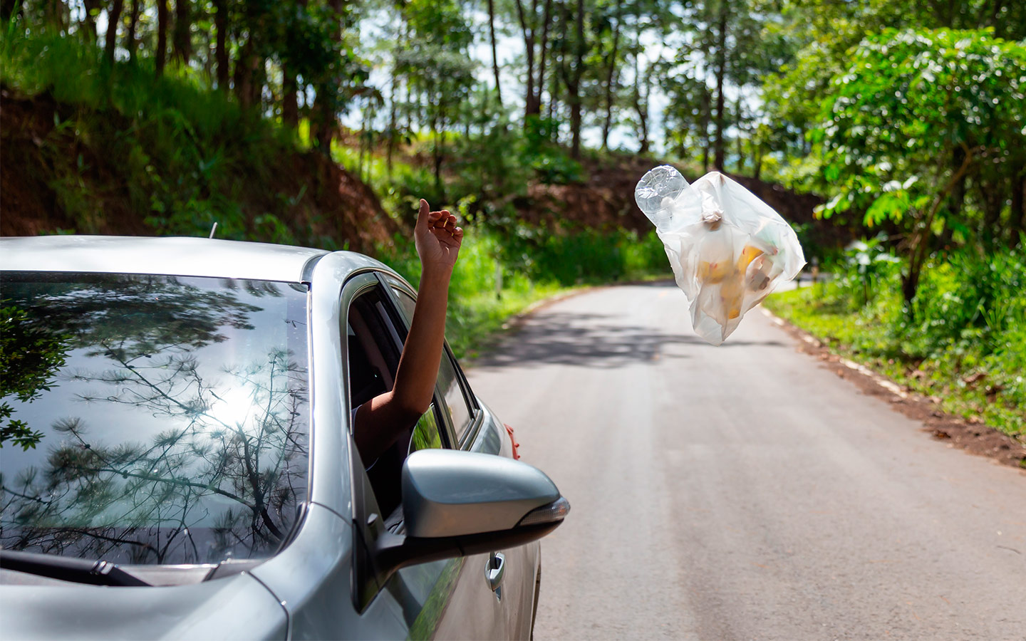 Фото: CGN089 / Shutterstock / FOTODOM