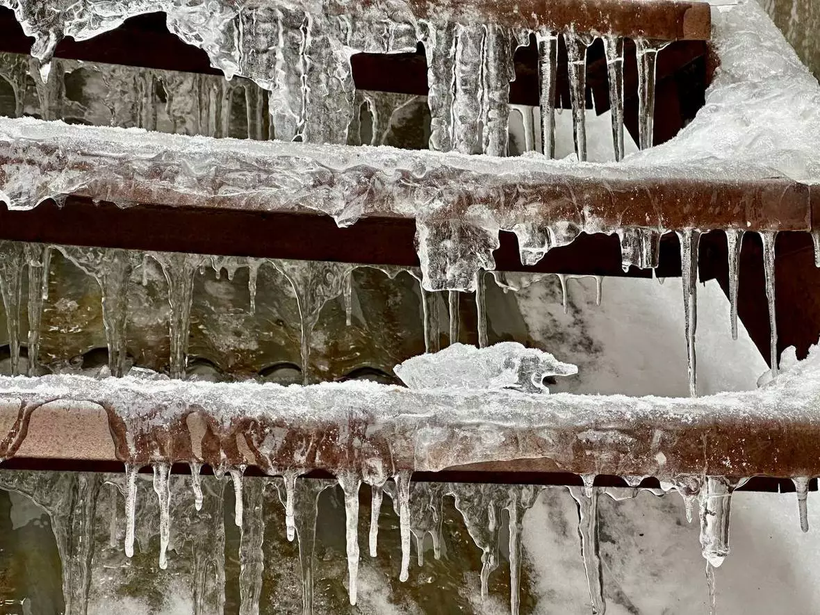 Анастасия Батаршинова