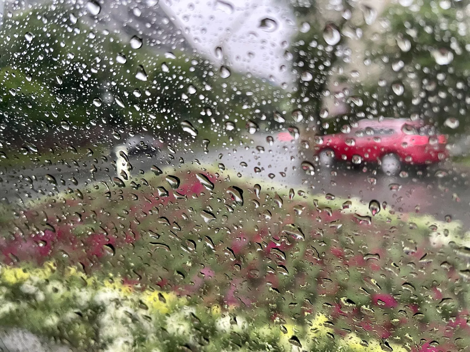 РБК Приморье