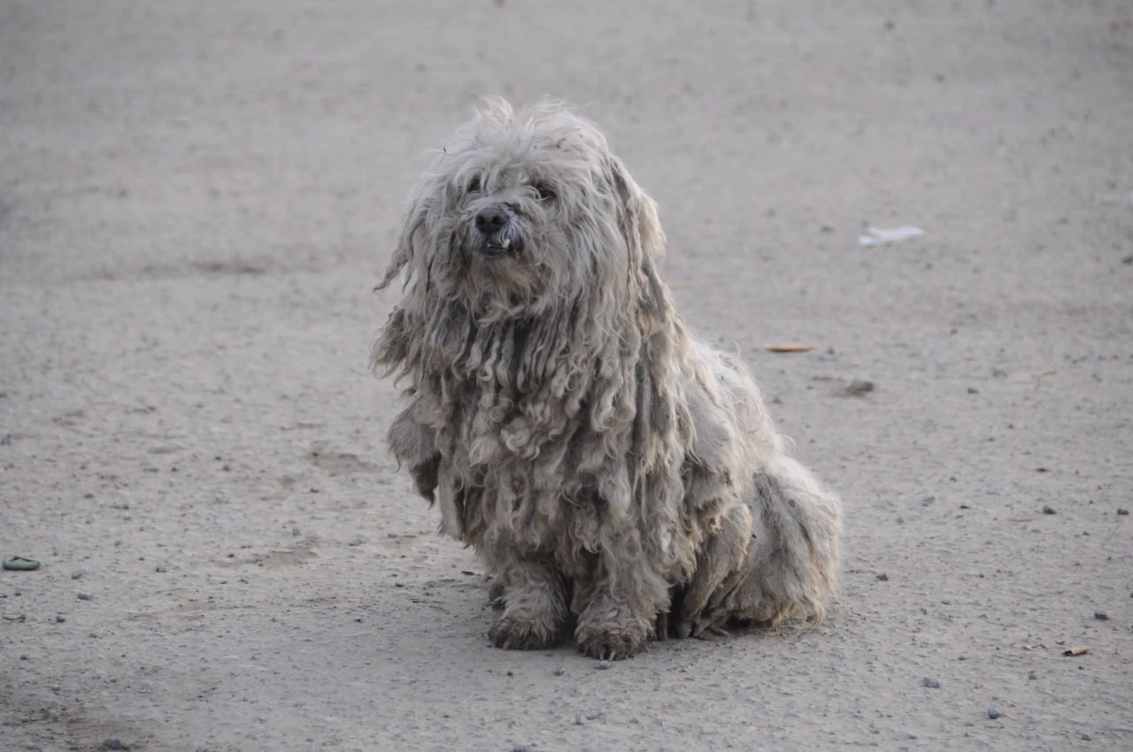 РБК Приморье