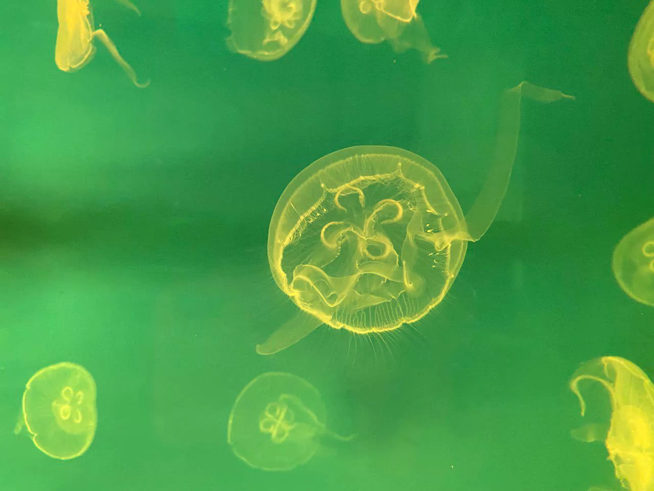 РБК Приморье