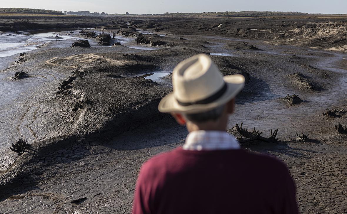 Фото: Ernesto Ryan / Getty Images