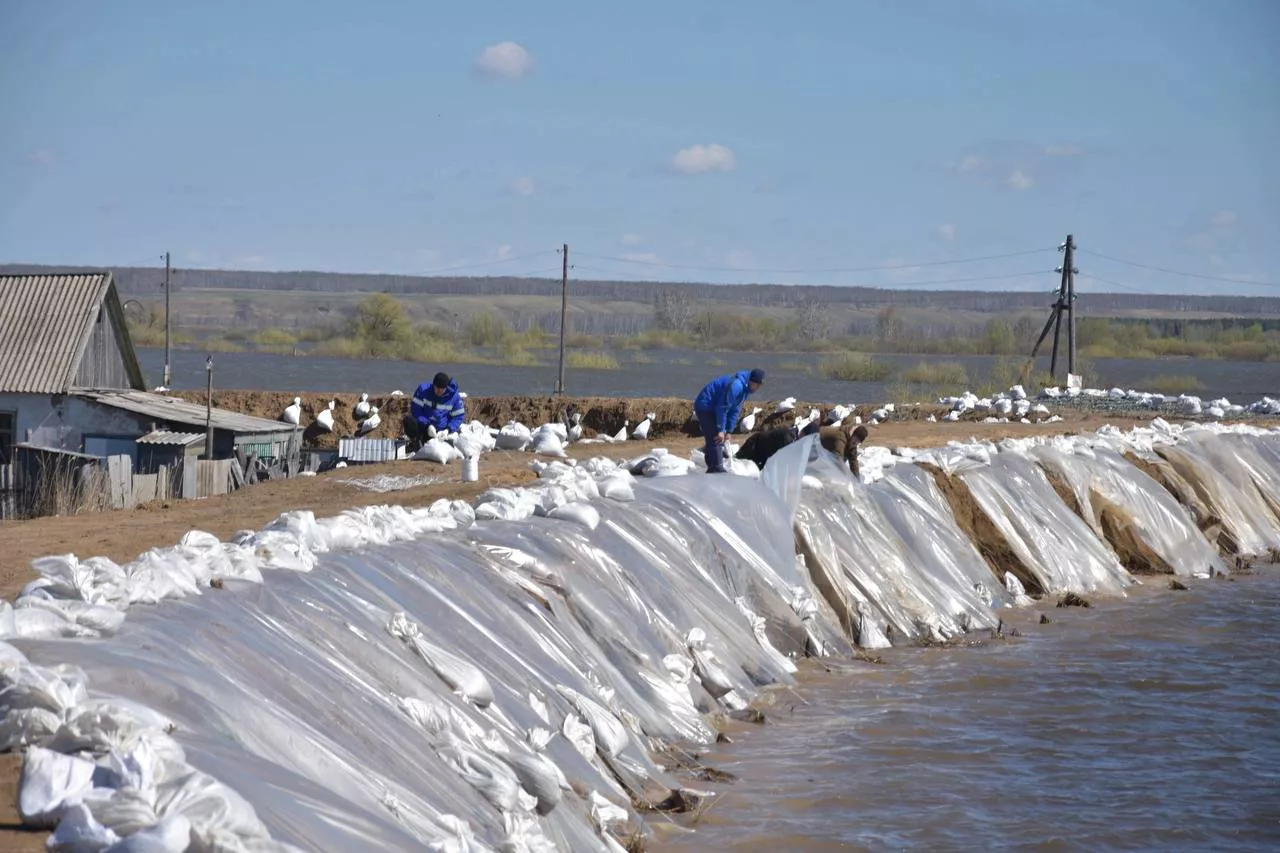 Тюменский инфоцентр