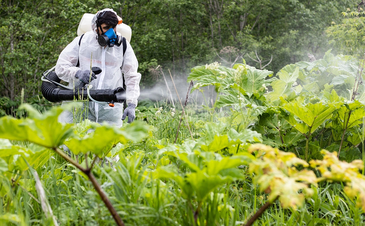 Сергей Бобылев / ТАСС