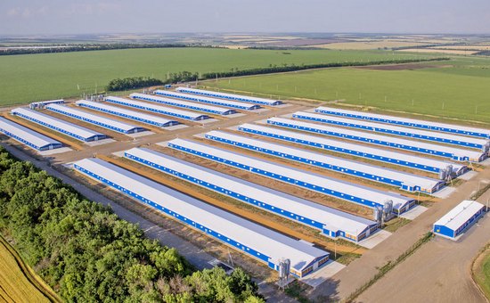 Донской производитель индейки построит агрокластер в Тверской области