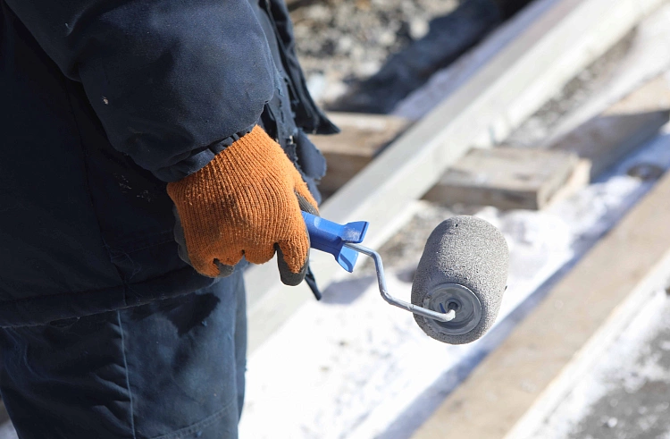 Правительство Приморского края