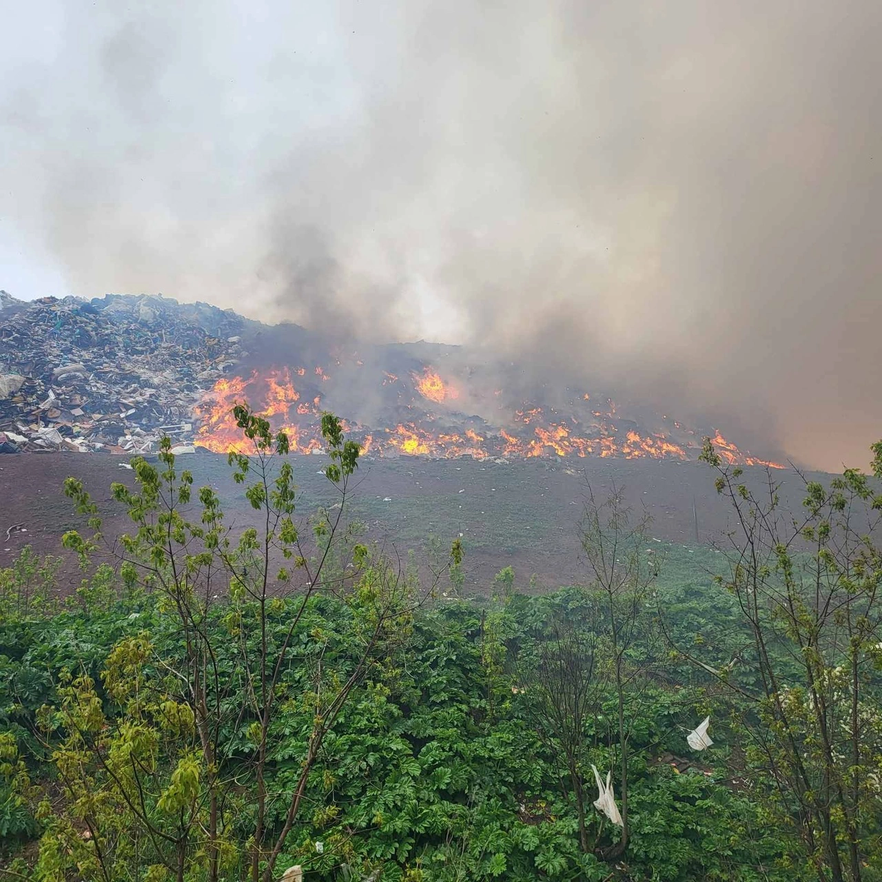 официальная страница Вконтакте Игоря Быкариза