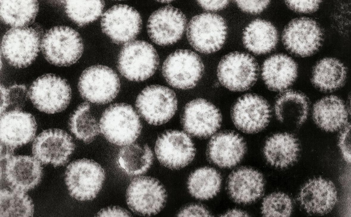 Частицы ротавируса под микроскопом