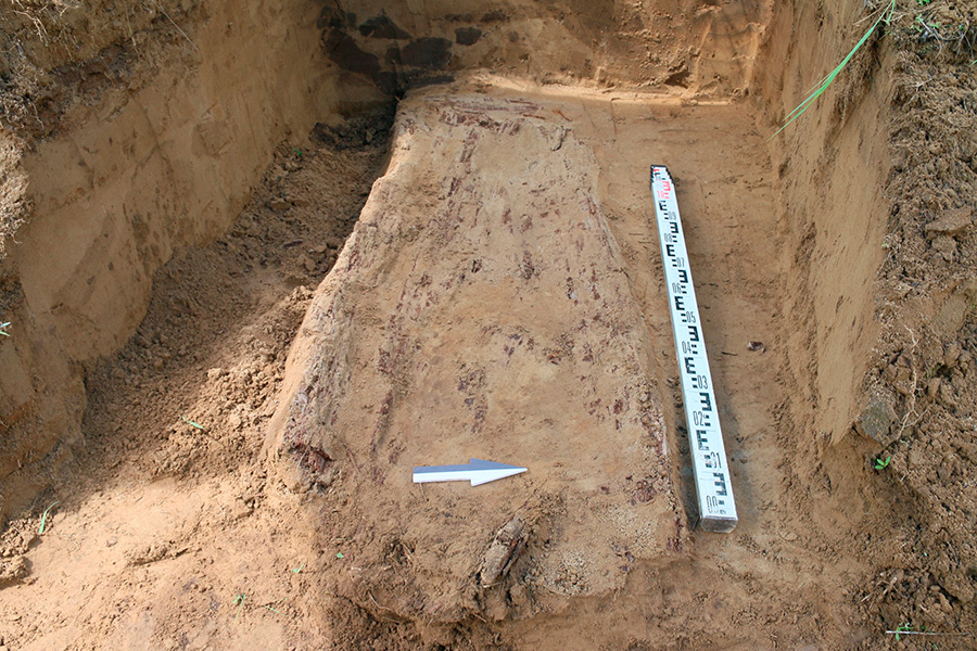 Фото: ЦСН Амурской области / VK