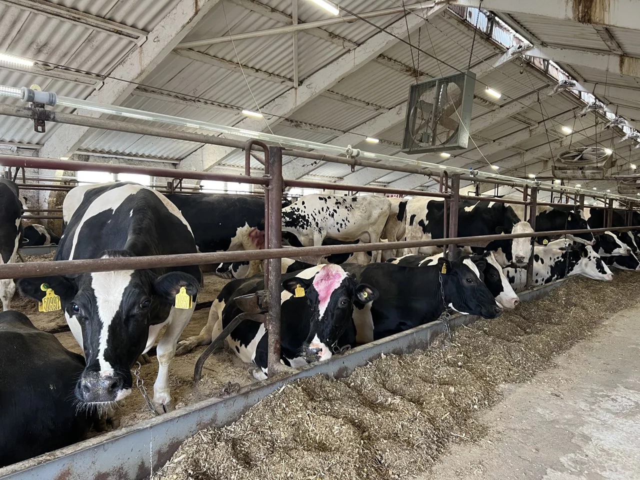 РБК Татарстан