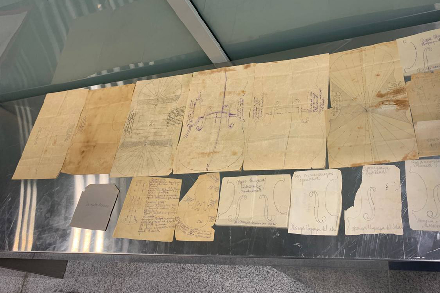 Фото: customs_rf / Telegram