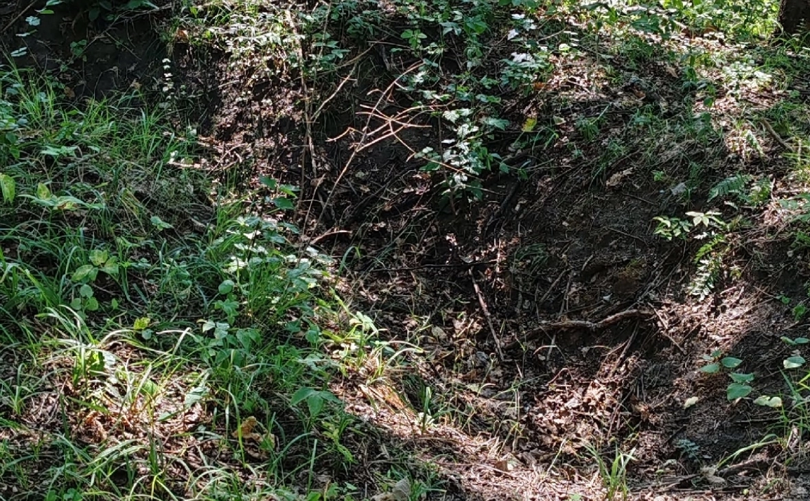 РБК Черноземье