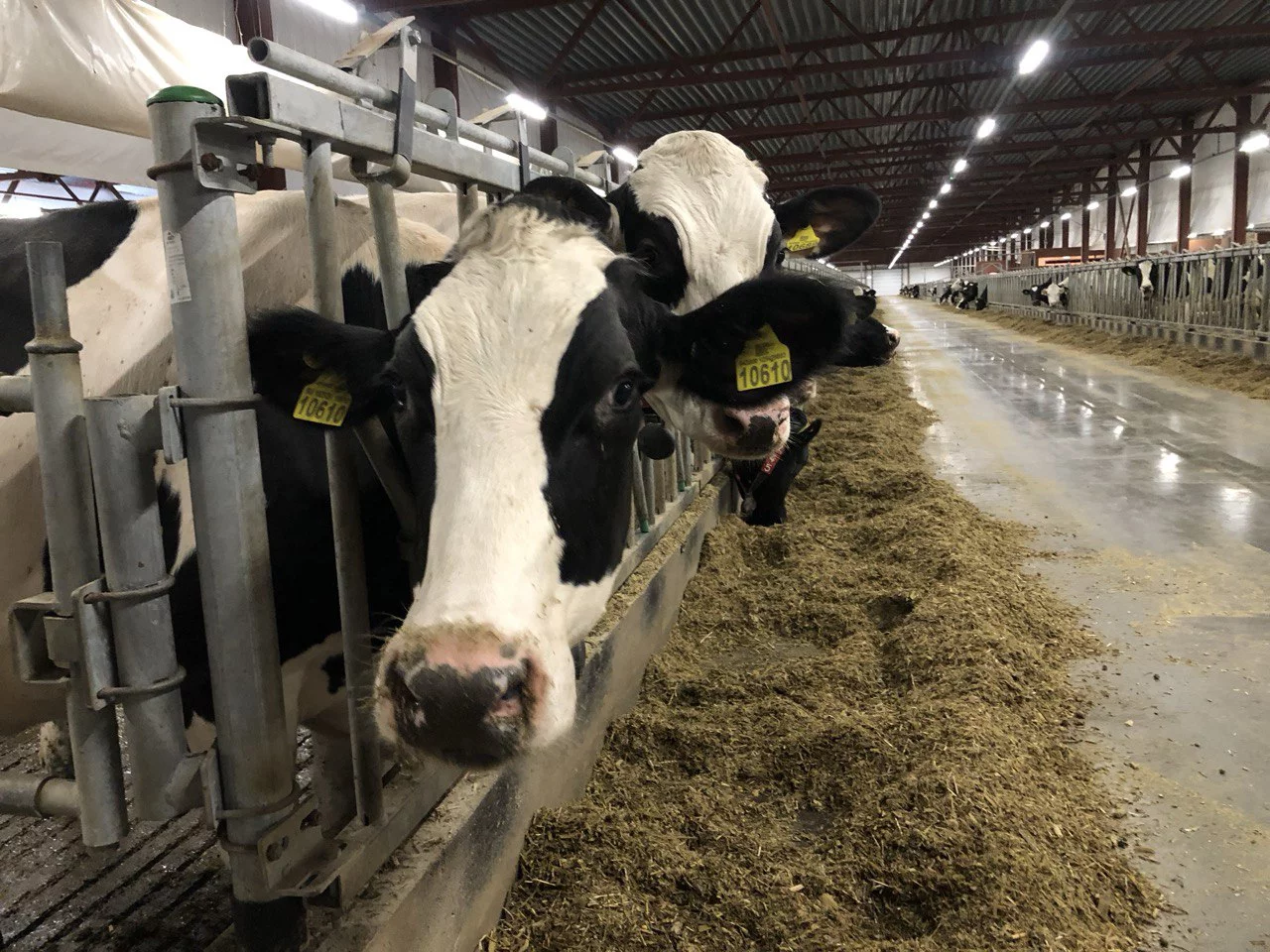 РБК Татарстан