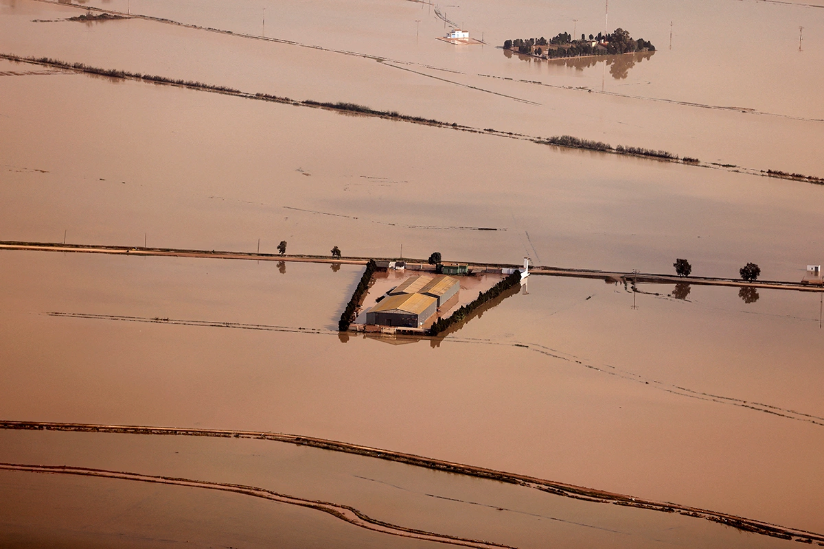 REUTERS / Nacho Doce