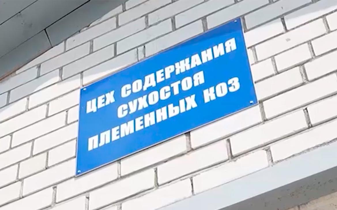 «Это что за бесхозяйственность?» Лукашенко приказал очистить Белоруссию от валяющихся брёвен