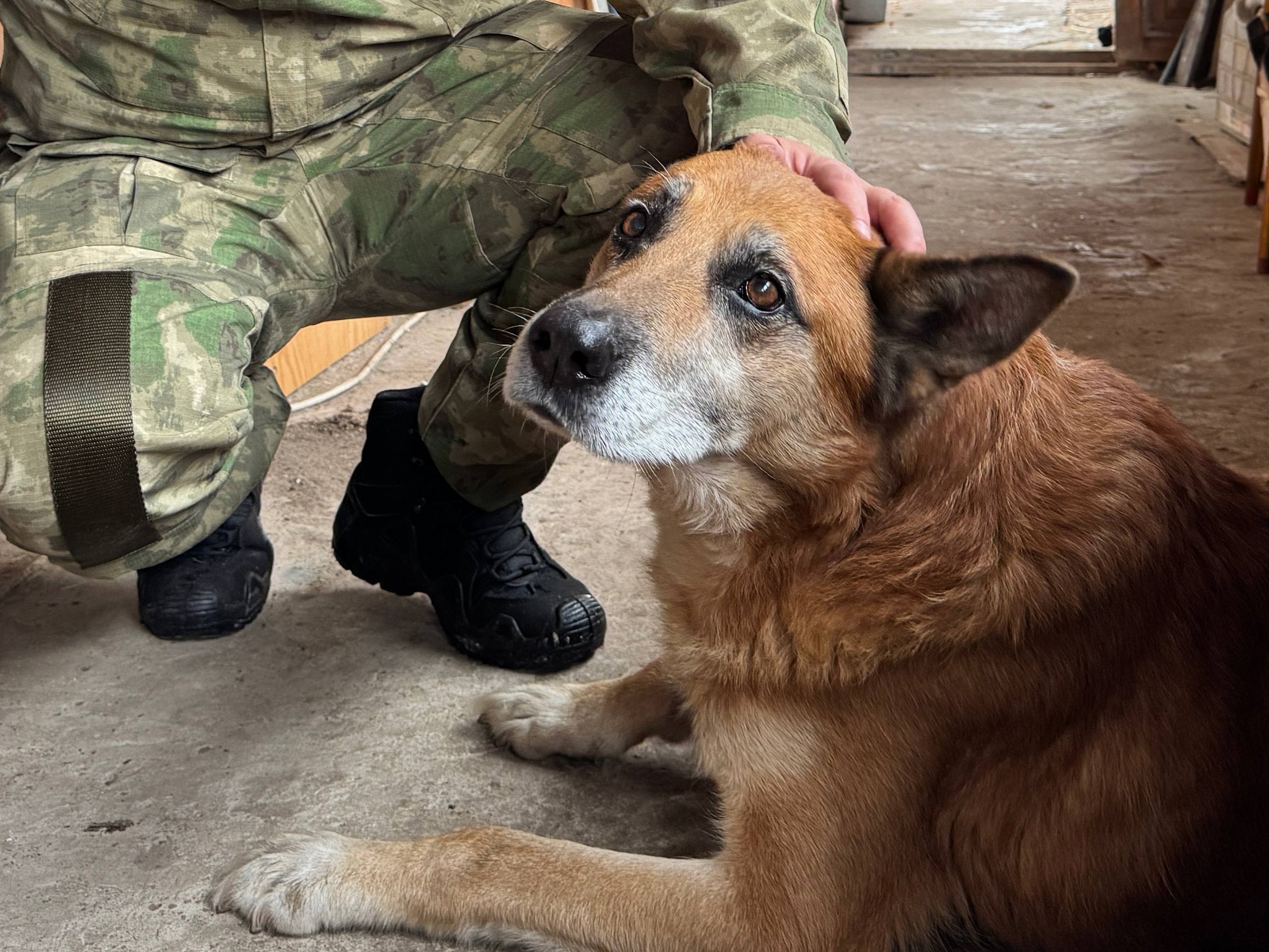 Фото: Telegram-канал Алексея Казаченко