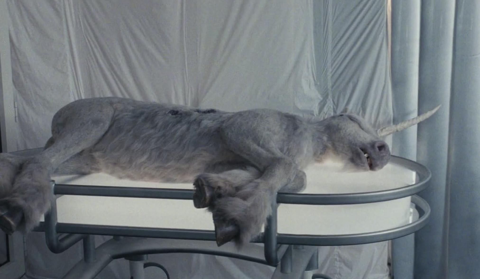 «Смерть единорога».Еще одна сатира на корпоративное лизоблюдство, а также на человеческую жадность и убожество перед величием природы. Растерянный вдовец везет в загородный дом босса свою дочь-подростка (роли исполнили Пол Радд и Дженна Ортега) на «семейный уик-энд», надеясь убить сразу двух зайцев: выпросить повышение с жирным чеком и наладить связь с дочерью, утерянную после смерти матери. Но убивает (случайно) самого натурального единорога. В роскошном особняке магната, медленно отдающего богу душу от рака в последней стадии, быстро соображают, что животное обладает целебными свойствами. Только вот это детеныш, за которым обязательно придут его разгневанные родители... Автор фильма Алекс Шарфман подрабатывал у хоррормейкеров Ари Астера и Роберта Эггерса, редактируя их сценарии, прежде чем снял свой первый фильм в духе «ешь богатых». Представители элиты получились столь уродливыми изнутри и снаружи, что месть матушки-природы, наделенной как волшебством, так и острыми зубами, ощущается почти как катарсис