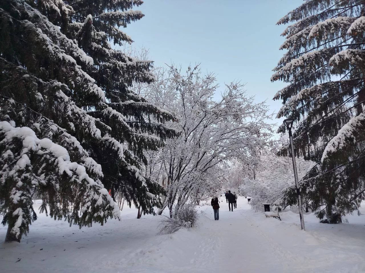 Анна Иванова / РБК Новосибирск