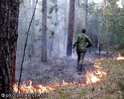 В Братске задержали очередных поджигателей леса