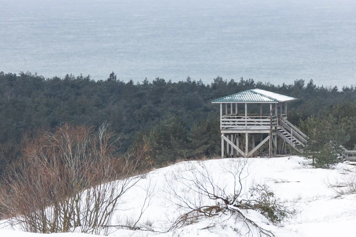 Александр Подгорчук