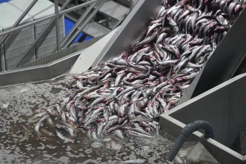 Правительство Сахалинской области