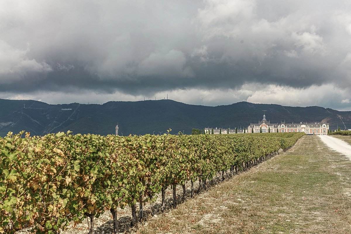 В конце сентября на площадке винодельческого комплекса «Шато де Талю» в Геленджике прошло не совсем рядовое мероприятие «Территория гедонизма», которое собрало лидеров рынка и топ-менеджеров