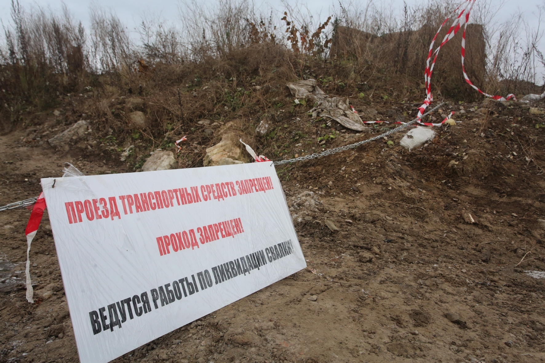 Фото: Холявчук Светлана/PhotoXPress.ru