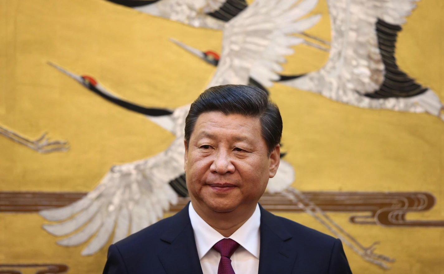 Feng Li / Getty Images