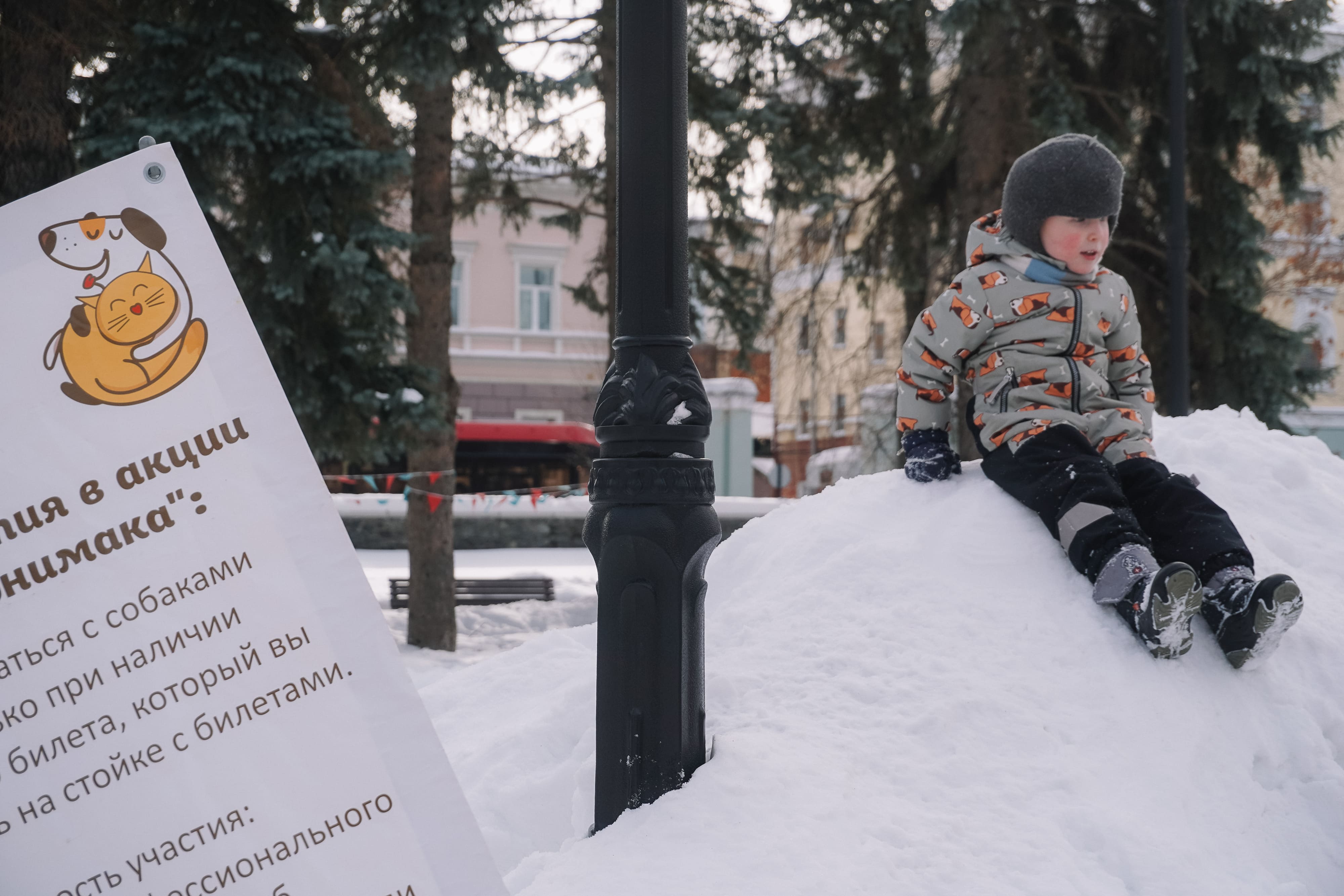 Фотогалерея: в Перми прошла благотворительная акция «Собака-обнимака»