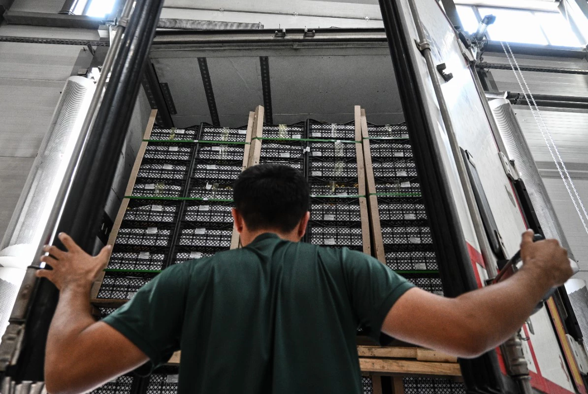 Владимир Жабриков / URA.RU 