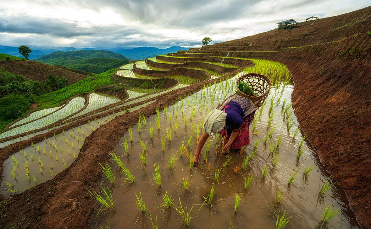 thirawatana phaisalratana / Shutterstock