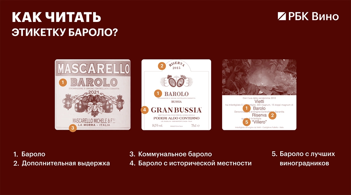Ступени классификации: как читать этикетку бароло?