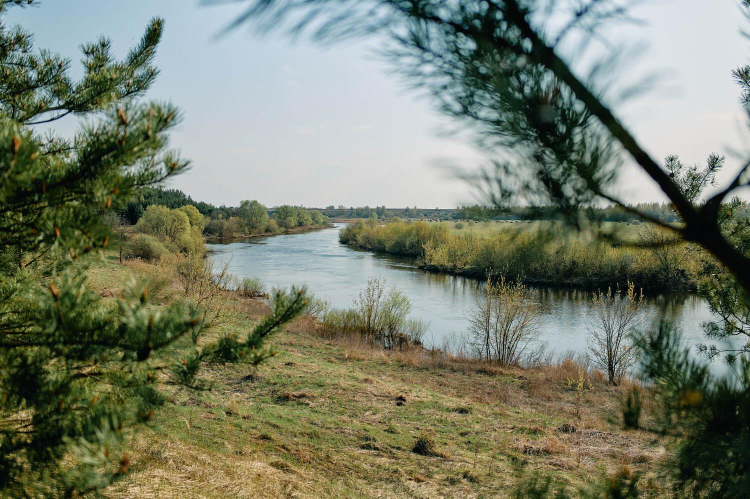 Фото: Пресс-служба «Поле»