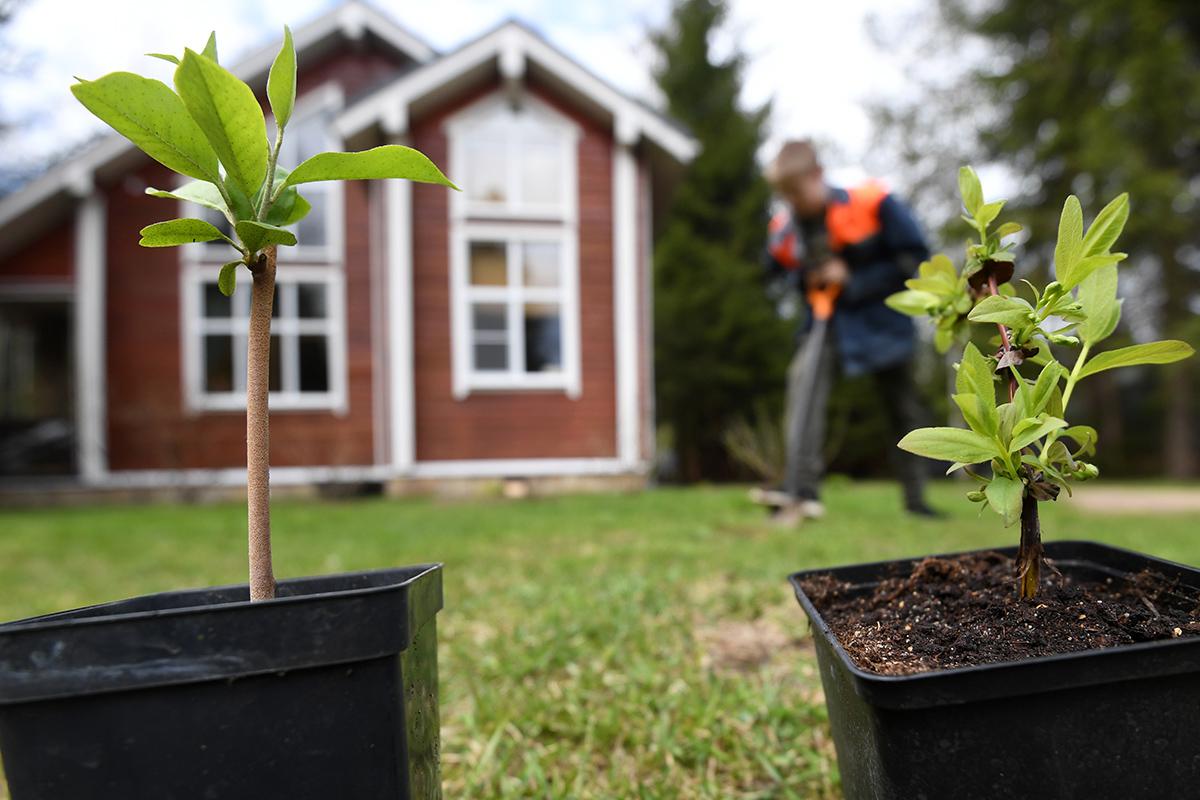 Фото:  Кирилл Каллиников / РИА Новости