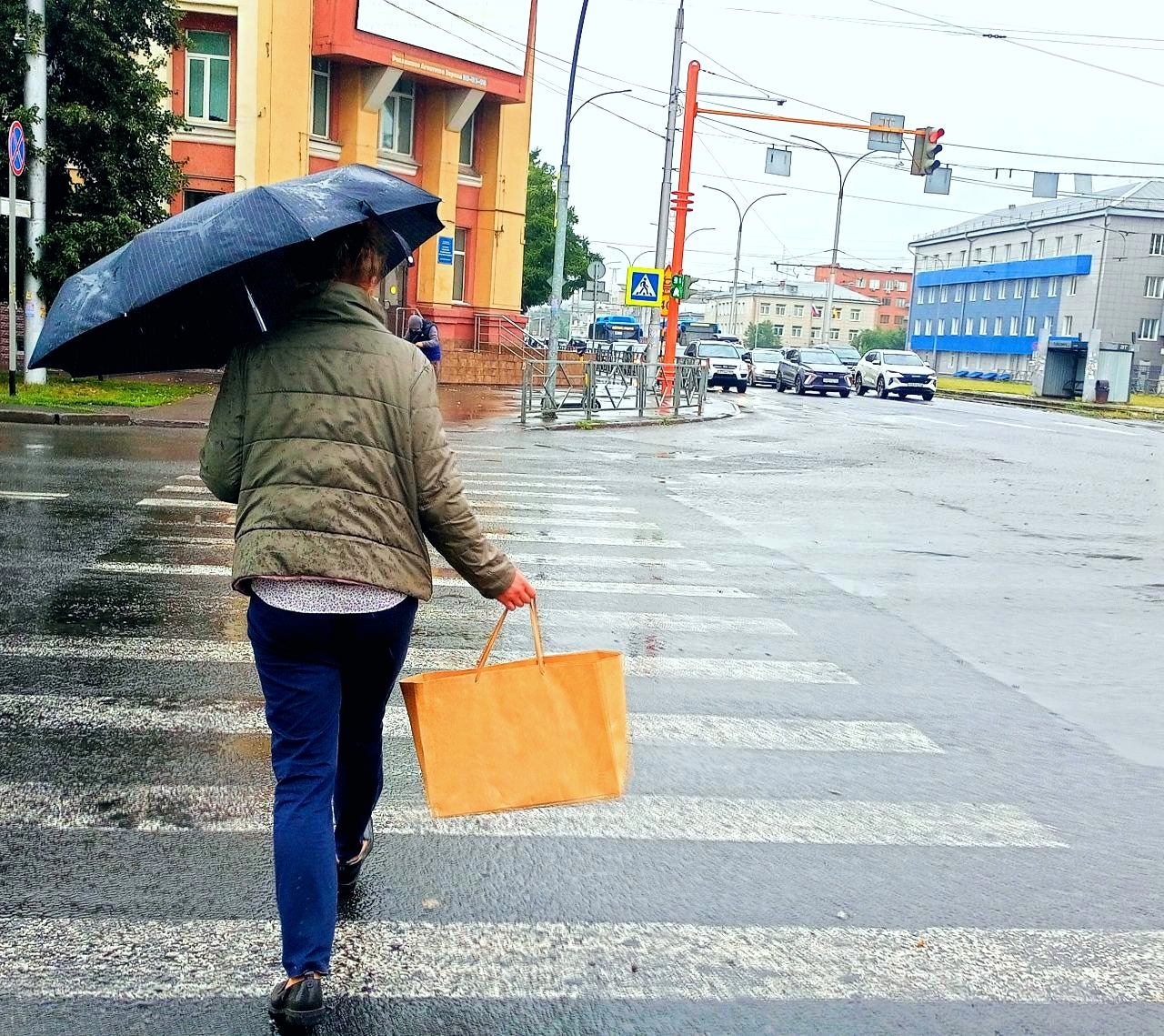 В Новосибирской области в выходные ночами ожидаются заморозки