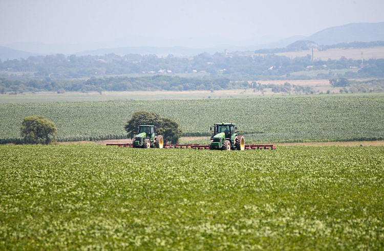 пресс-служба правительства Приморского края