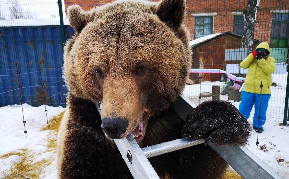 Андрей Иванов / Global Look Press