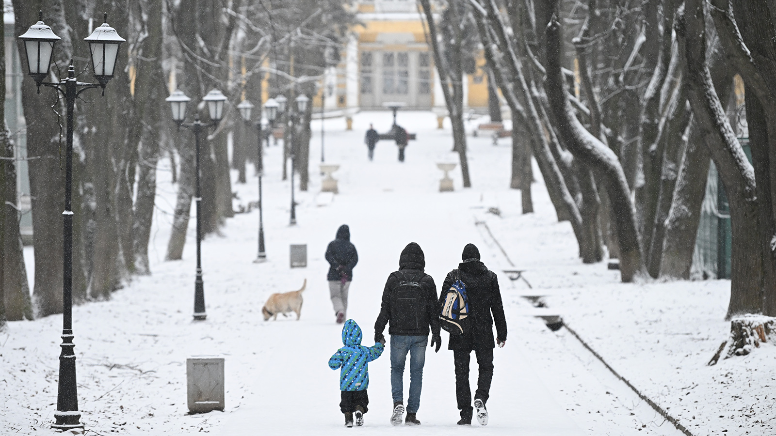 Синоптики сообщили, когда ожидается снегопад в Москве
