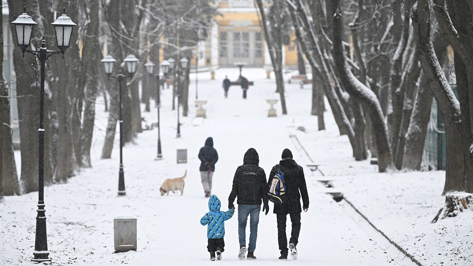Синоптики сообщили, когда ожидается снегопад в Москве
