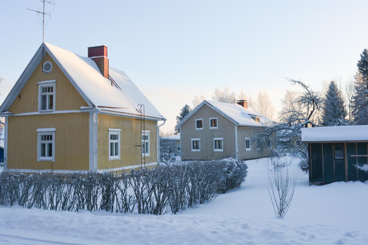 Фото: Daria Katiukha / Shutterstock / FOTODOM