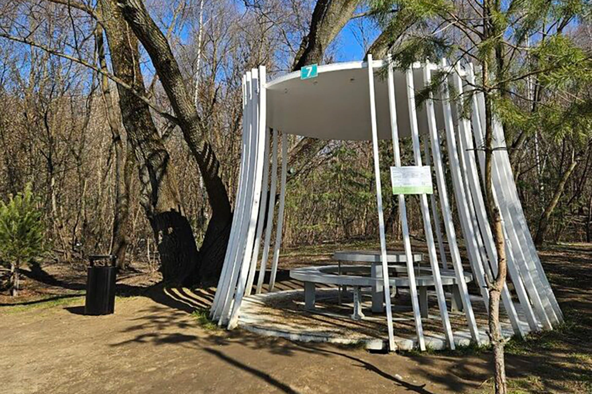 Пикниковая зона в парке «Серебряный бор»