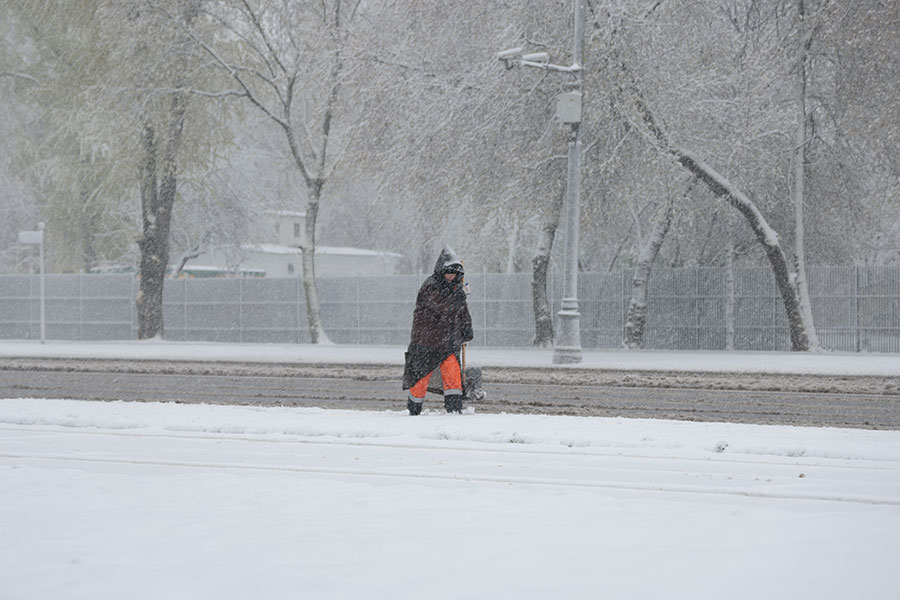 Михаил Гребенщиков / РБК