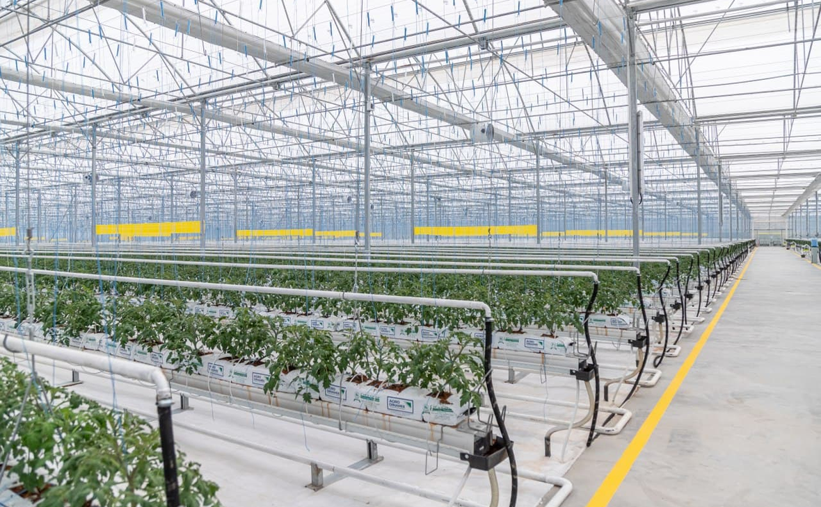 agrodinamix.com