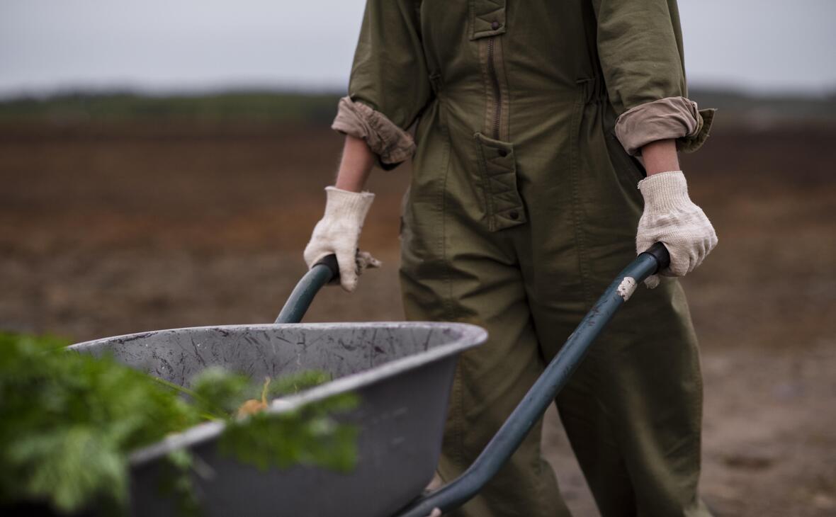 Фото: ru.freepik.com