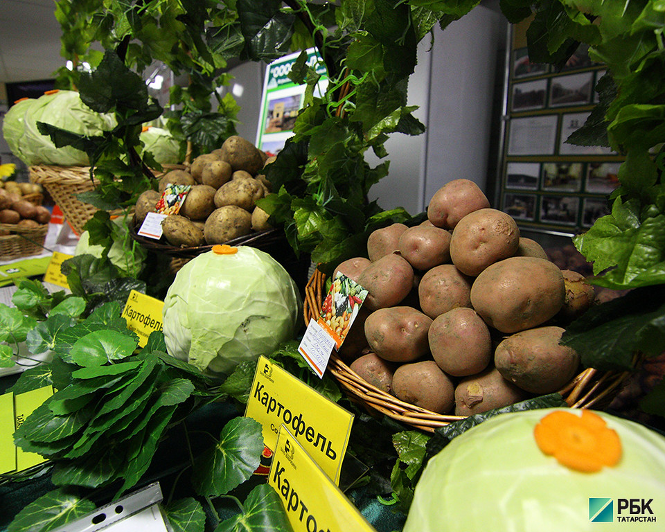 В РТ валовая продукция сельского хозяйства составила 214 млрд. рублей