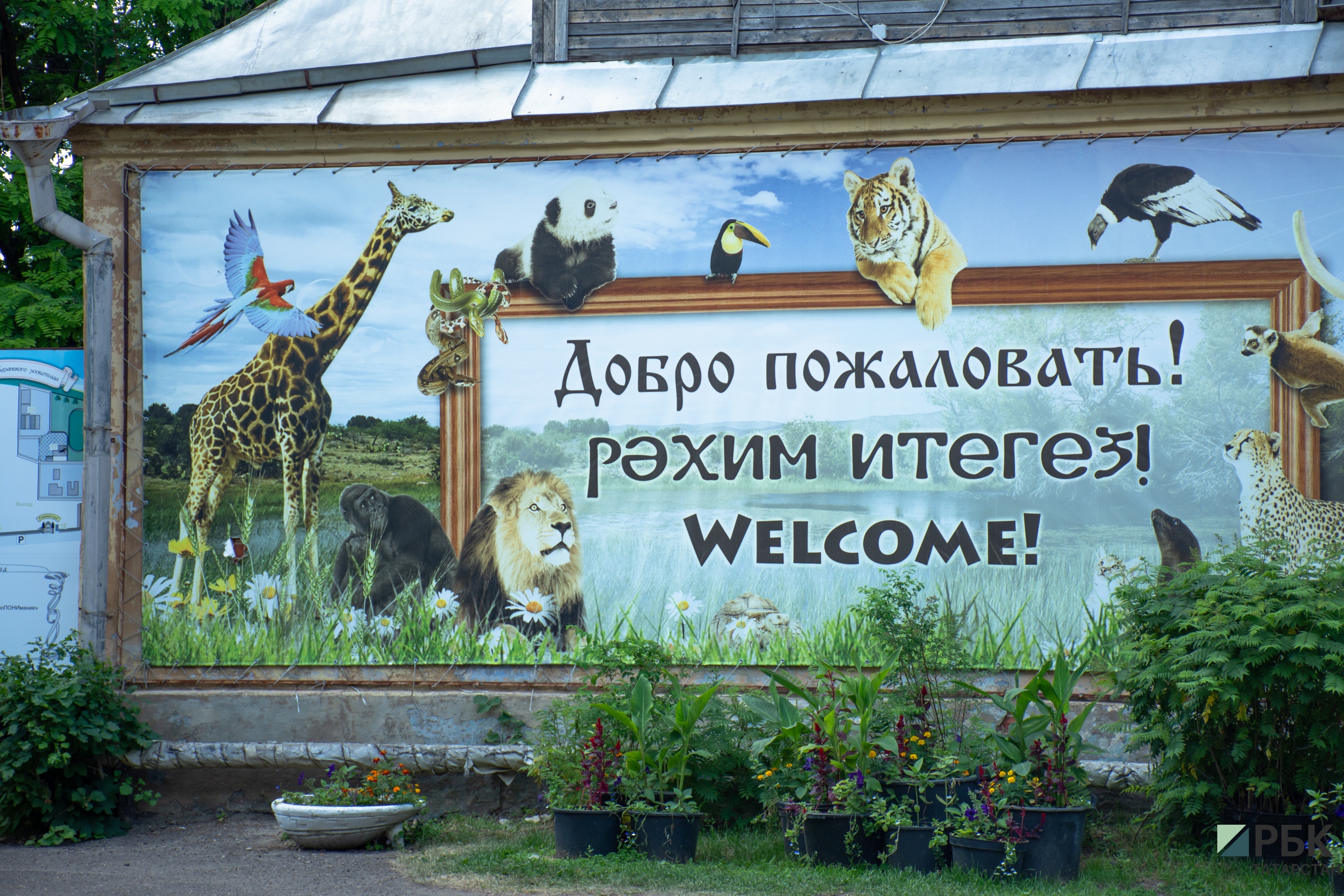 Зооботанический сад был основан при Казанском университете&nbsp;в 1806 году Карлом Фуксом. В новейшей истории его реконструкцию не могли начать с 2007 года: вопрос назрел, но финансирования не было.&nbsp;