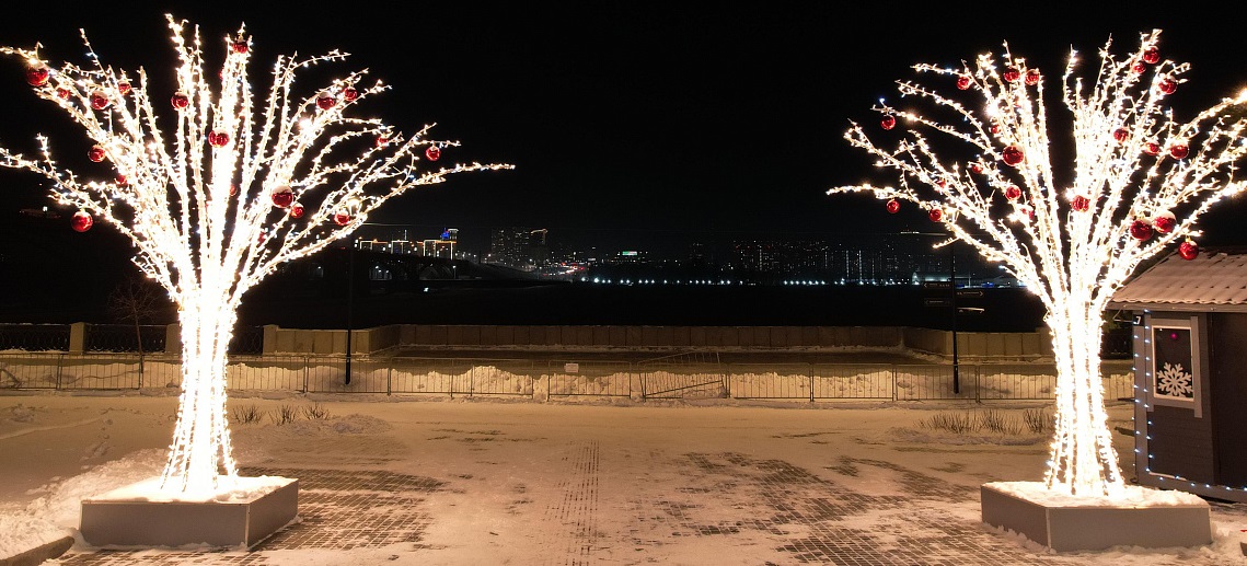 Светящиеся деревья на Михайловской набережной
